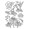 Stampendous! Hummingbird Day Clear Stamps (STP-193) (OUTLET)