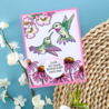 Stampendous! Hummingbird Day Clear Stamps (STP-193) (OUTLET)