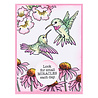Stampendous! Hummingbird Day Clear Stamps (STP-193) (OUTLET)