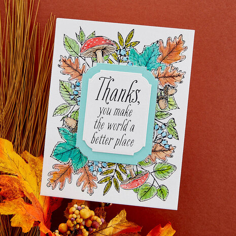 Spellbinders Autumn Thanks Frame Press Plate (BP-083) (OUTLET) Spellbinders Autumn Thanks Frame Press Plate (BP-083) (OUTLET)