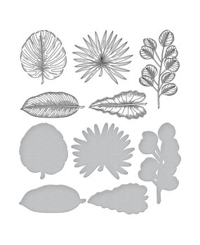 Spellbinders Tropical Leaves Press Plate & Die Set (BP-155) (OUTLET) Spellbinders Tropical Leaves Press Plate & Die Set (BP-155) (OUTLET)