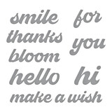 Spellbinders Fresh Picked Sentiments Etched Dies (S4-1329) (OUTLET)