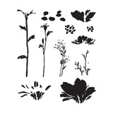Spellbinders Layered Wildflowers Clear Stamps (STP-028) (OUTLET)