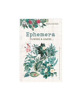 P13 Naturalist Ephemera Flowers and Leaves (13pcs) (P13-NAT-26) (OUTLET) P13 Naturalist Ephemera Flowers and Leaves (13pcs) (P13-NAT-26) (OUTLET)