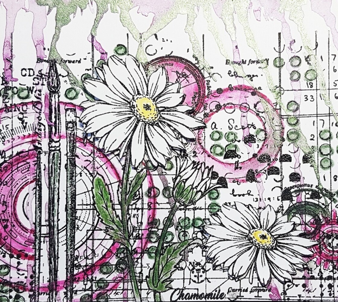 IndigoBlu Camomile A5 Rubber Stamps (IND0810) (OUTLET) IndigoBlu Camomile A5 Rubber Stamps (IND0810) (OUTLET)