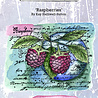 IndigoBlu Raspberries A6 Rubber Stamps (IND0865) (OUTLET) IndigoBlu Raspberries A6 Rubber Stamps (IND0865) (OUTLET)