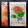 IndigoBlu Sunflower Bloom A6 Rubber Stamps (IND0866) (OUTLET) IndigoBlu Sunflower Bloom A6 Rubber Stamps (IND0866) (OUTLET)