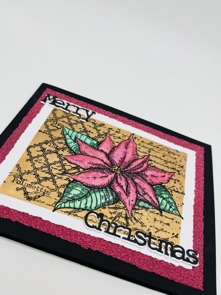 IndigoBlu Poinsettia Collage A6 Rubber Stamps (IND1002) (OUTLET) IndigoBlu Poinsettia Collage A6 Rubber Stamps (IND1002) (OUTLET)