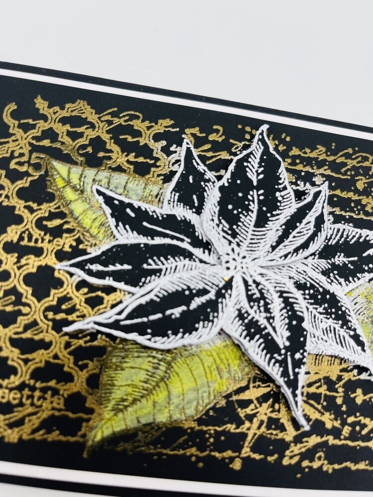 IndigoBlu Poinsettia Collage A6 Rubber Stamps (IND1002) (OUTLET) IndigoBlu Poinsettia Collage A6 Rubber Stamps (IND1002) (OUTLET)