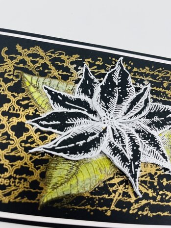 IndigoBlu Poinsettia Collage A6 Rubber Stamps (IND1002) (OUTLET) IndigoBlu Poinsettia Collage A6 Rubber Stamps (IND1002) (OUTLET)