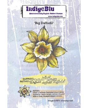 IndigoBlu Big Daffodil A6 Rubber Stamps (IND1270) (OUTLET) IndigoBlu Big Daffodil A6 Rubber Stamps (IND1270) (OUTLET)