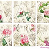 Decorer Drawing Flowers 8x8 Inch Paper Pack (DECOR-B43-441) (OUTLET) Decorer Drawing Flowers 8x8 Inch Paper Pack (DECOR-B43-441) (OUTLET)