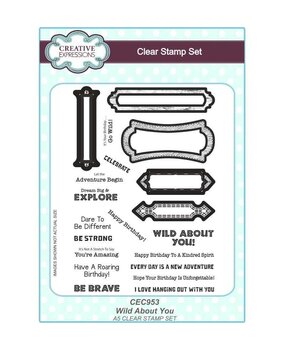 Creative Expressions Clear Stamp A5 Wild About You (CEC953) (OUTLET)