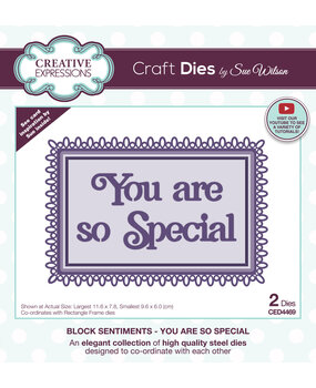 Creative Expressions Sue Wilson Craft Die Block Sentiments You Are So Special (CED4469) (OUTLET)