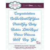 Creative Expressions Jamie Rodgers Craft Die Sentiments Collection New Baby (CEDJR052) (OUTLET)