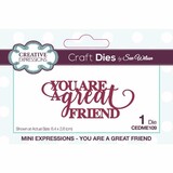 Creative Expressions Sue Wilson Craft Die Mini Expressions You Are A Great Friend (CEDME109) (OUTLET)