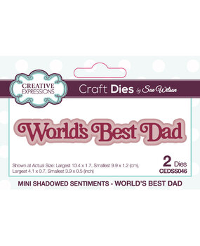 Creative Expressions Sue Wilson Craft Die Mini Shadowed Sentiments World's Best Dad (CEDSS046) (OUTLET)