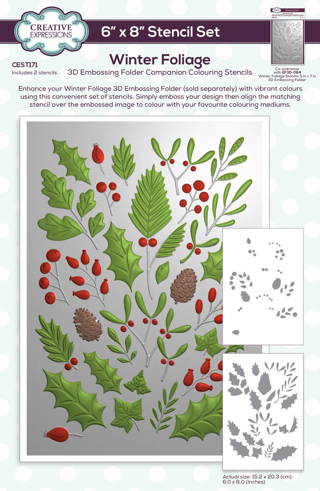 Creative Expressions Winter Foliage Companion Colouring Stencil (CEST171) (OUTLET) Creative Expressions Winter Foliage Companion Colouring Stencil (CEST171) (OUTLET)