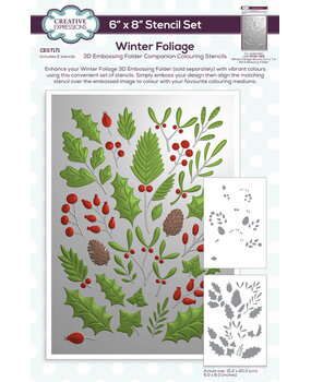 Creative Expressions Winter Foliage Companion Colouring Stencil (CEST171) (OUTLET) Creative Expressions Winter Foliage Companion Colouring Stencil (CEST171) (OUTLET)
