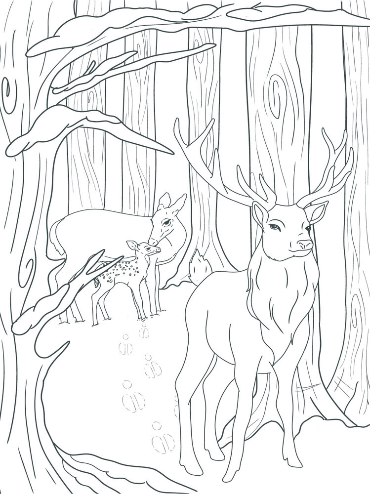 Crafter's Companion Card Front Colouring Pads Winter Scenes (CC-COLPAD-WISC) (OUTLET) Crafter's Companion Card Front Colouring Pads Winter Scenes (CC-COLPAD-WISC) (OUTLET)