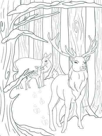 Crafter's Companion Card Front Colouring Pads Winter Scenes (CC-COLPAD-WISC) (OUTLET) Crafter's Companion Card Front Colouring Pads Winter Scenes (CC-COLPAD-WISC) (OUTLET)