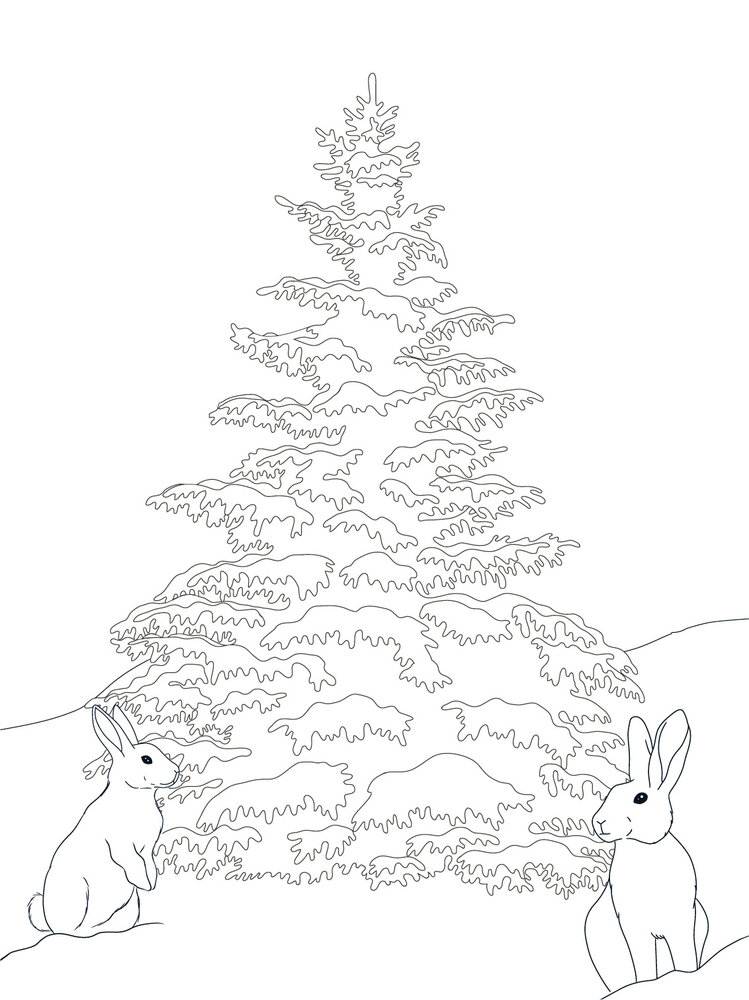 Crafter's Companion Card Front Colouring Pads Winter Scenes (CC-COLPAD-WISC) (OUTLET) Crafter's Companion Card Front Colouring Pads Winter Scenes (CC-COLPAD-WISC) (OUTLET)