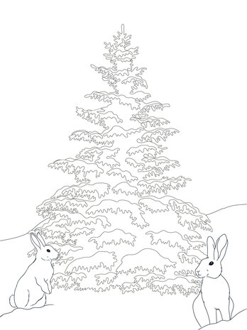 Crafter's Companion Card Front Colouring Pads Winter Scenes (CC-COLPAD-WISC) (OUTLET) Crafter's Companion Card Front Colouring Pads Winter Scenes (CC-COLPAD-WISC) (OUTLET)