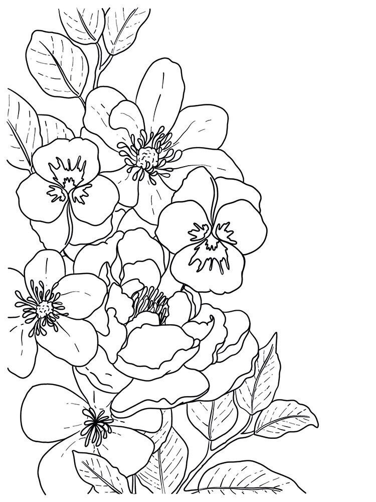 Crafter's Companion Card Front Colouring Pads Butterflies And Botanics (CC-COLPAD5-BUBO) (OUTLET) Crafter's Companion Card Front Colouring Pads Butterflies And Botanics (CC-COLPAD5-BUBO) (OUTLET)