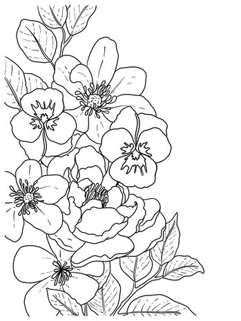 Crafter's Companion Card Front Colouring Pads Butterflies And Botanics (CC-COLPAD5-BUBO) (OUTLET) Crafter's Companion Card Front Colouring Pads Butterflies And Botanics (CC-COLPAD5-BUBO) (OUTLET)