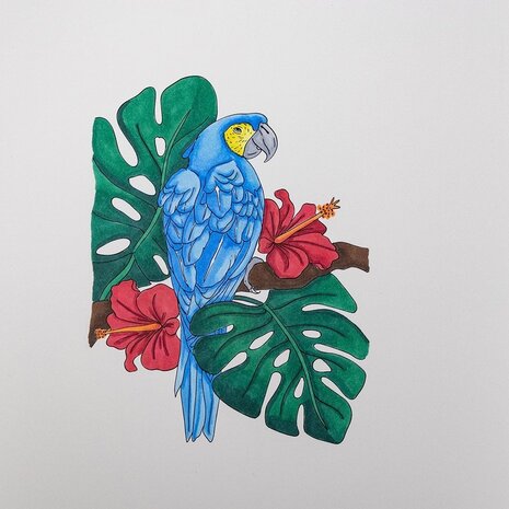 Crafter's Companion Card Front Colouring Pads Floral Flight (CC-COLPAD5-FLFL) (OUTLET)