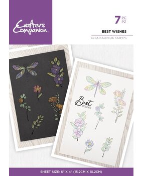 Crafter's Companion Shimmer Watercolour Clear Stamp Best Wishes (CC-IST-CA-ST-BEWI) (OUTLET)