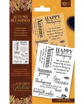 Crafter's Companion Autumn Blessings Collection Clear Stamps Heartfelt Wishes (NG-AUT-ST-HEAW) (OUTLET) Crafter's Companion Autumn Blessings Collection Clear Stamps Heartfelt Wishes (NG-AUT-ST-HEAW) (OUTLET)