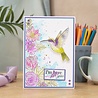 Crafter's Companion Hummingbird Clear Stamps Spread Your Wings (NG-HB-ST-SPYW) (OUTLET)