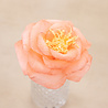 Crafter's Companion Say It With Flowers Crepe Paper Flower Making Kit (S-SIWF-CPFMKIT) (OUTLET)