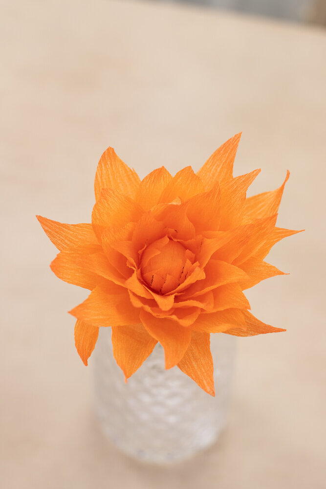 Crafter's Companion Say It With Flowers Crepe Paper Flower Making Kit (S-SIWF-CPFMKIT) (OUTLET)