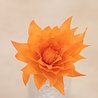Crafter's Companion Say It With Flowers Crepe Paper Flower Making Kit (S-SIWF-CPFMKIT) (OUTLET)