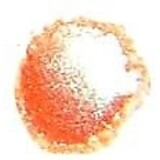 Cosmic Shimmer Embossing Powder Coral Glow 20ml (CSEPCOR) (OUTLET)