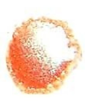 Cosmic Shimmer Embossing Powder Coral Glow 20ml (CSEPCOR) (OUTLET) Cosmic Shimmer Embossing Powder Coral Glow 20ml (CSEPCOR) (OUTLET)