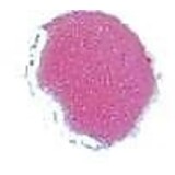 Cosmic Shimmer Embossing Powder Lapis Pink 20ml (CSEPPINK) (OUTLET)