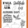 Carta Bella Pumpkins Please Clear Stamps (CBWF154046) (OUTLET)
