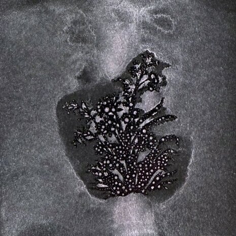 Lindy's Stamp Gang Lycan Lilac Glitz Spritz (glitz-47)