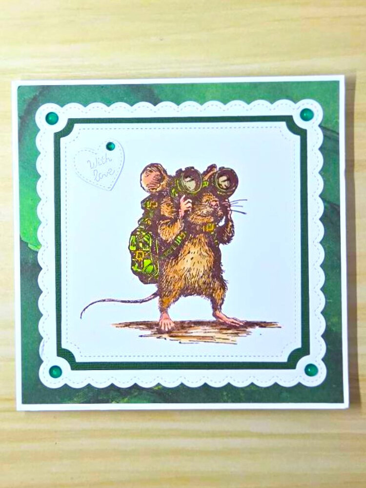 Craft Consortium Oliver's Adventures A6 Clear Stamp Searching (CCDWSTMP001)