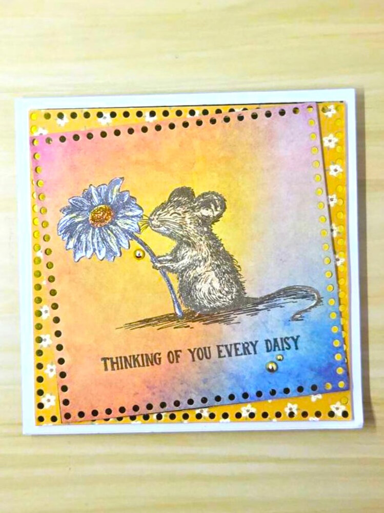 Craft Consortium Oliver's Adventures A6 Clear Stamp Daisy (CCDWSTMP004)