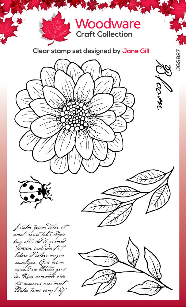 Woodware Ditsy Daisy Clear Stamps (JGS827) (OUTLET) Woodware Ditsy Daisy Clear Stamps (JGS827) (OUTLET)