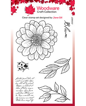 Woodware Ditsy Daisy Clear Stamps (JGS827) (OUTLET) Woodware Ditsy Daisy Clear Stamps (JGS827) (OUTLET)