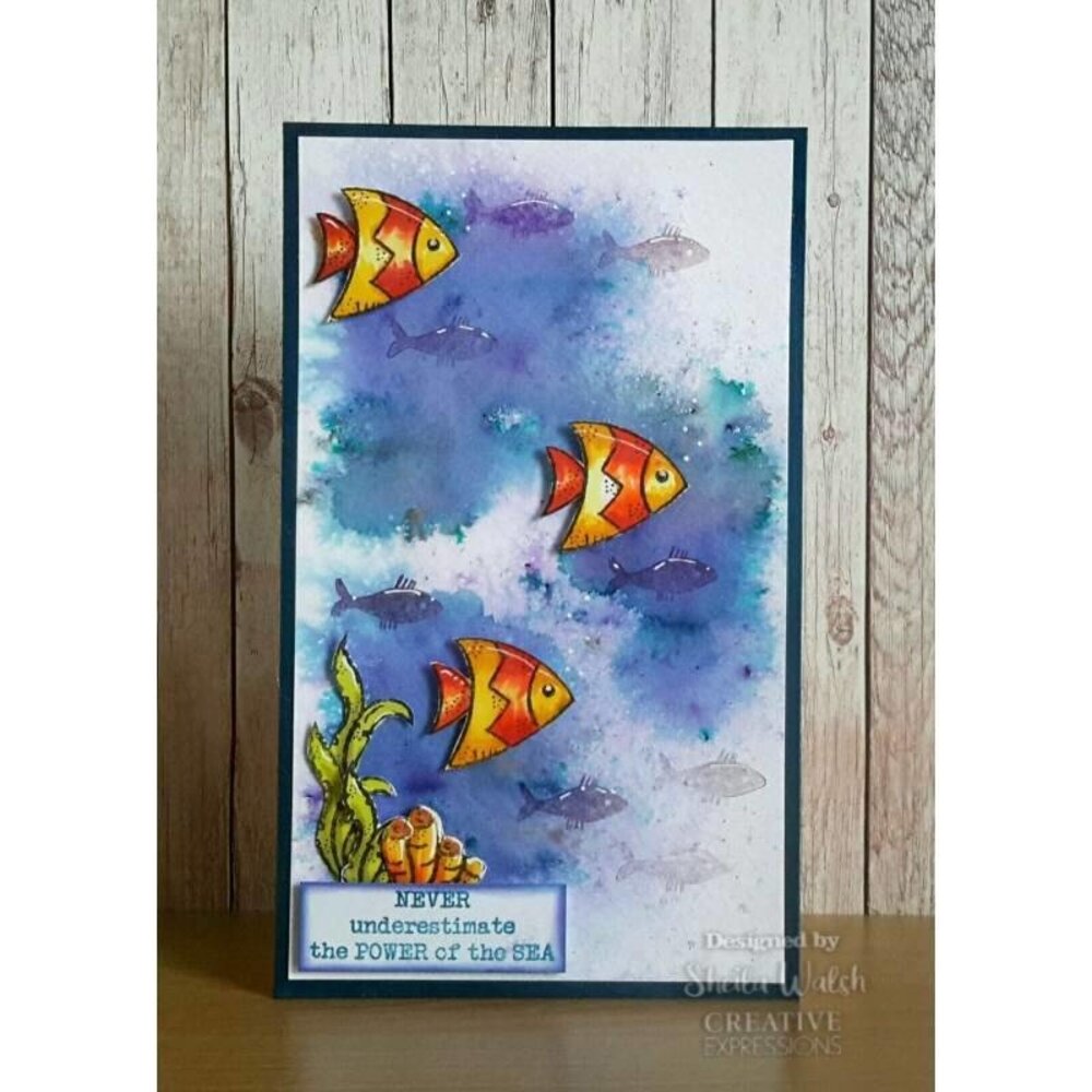 Woodware Coral Reef Clear Stamp (FRS418) (OUTLET)