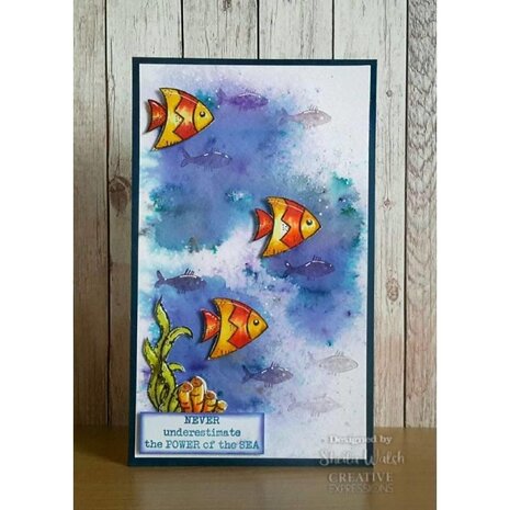 Woodware Coral Reef Clear Stamp (FRS418) (OUTLET)
