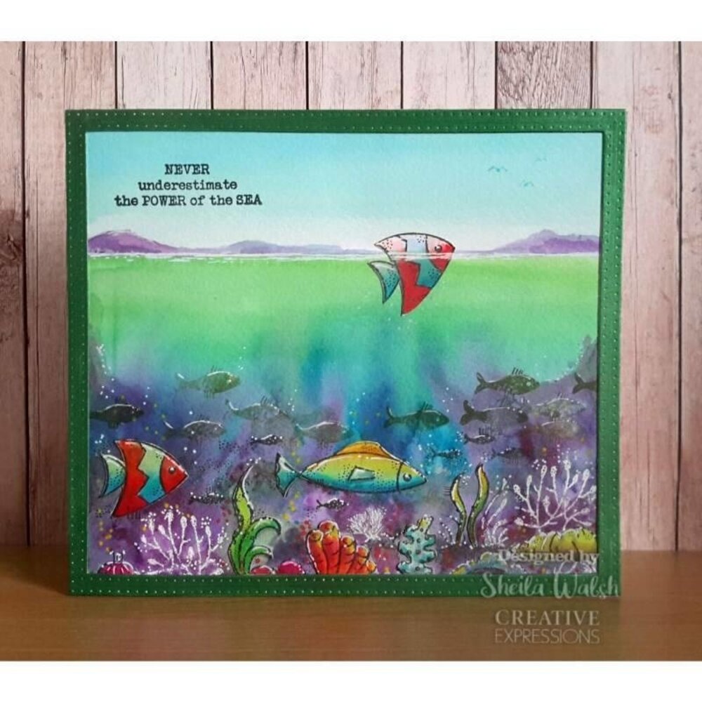 Woodware Coral Reef Clear Stamp (FRS418) (OUTLET)