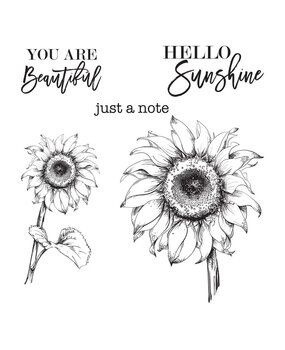 Spellbinders Hello Sunflower Clear Stamp (STP-017) (OUTLET) Spellbinders Hello Sunflower Clear Stamp (STP-017) (OUTLET)