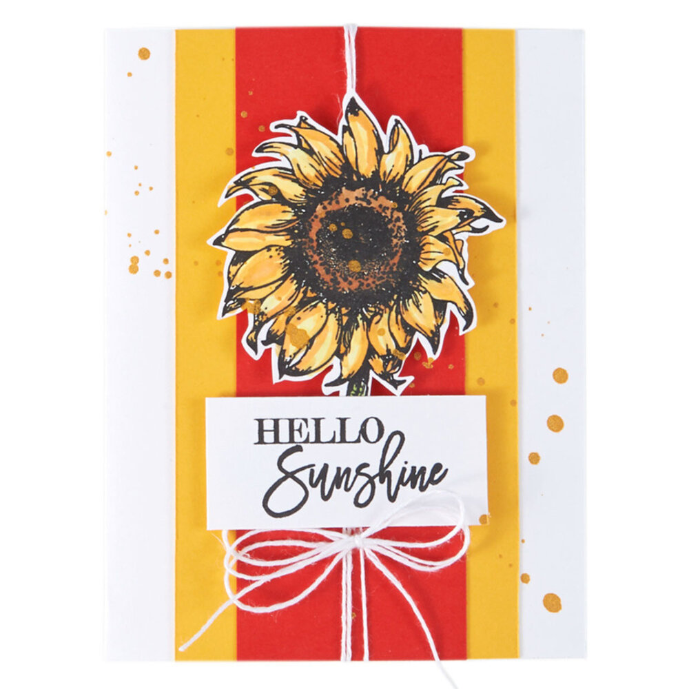 Spellbinders Hello Sunflower Clear Stamp (STP-017) (OUTLET) Spellbinders Hello Sunflower Clear Stamp (STP-017) (OUTLET)